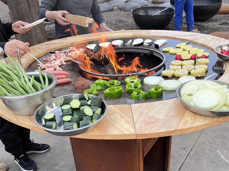 Bbq Grill Stove Agencies South Africa